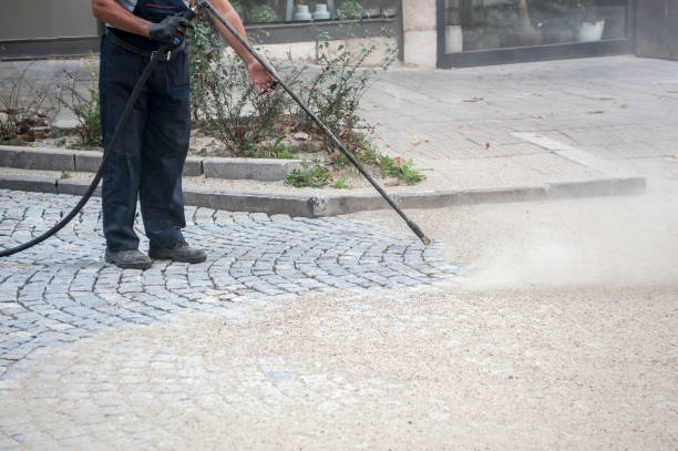 Best Roof Cleaning and Mildew Removal in San Leon, TX